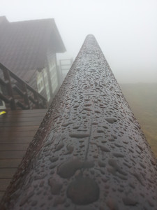 2013-03-02 11.29.23.jpg