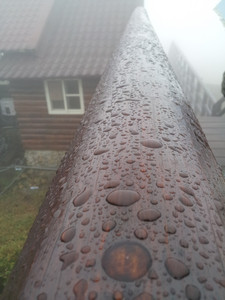 2013-03-02 11.29.33.jpg