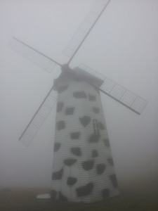 2013-03-02 11.33.38.jpg