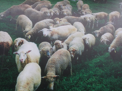 2013-03-02 11.44.17.jpg