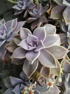 2013-03-02 11.49.33.jpg