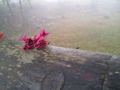 2013-03-02 11.51.50.jpg