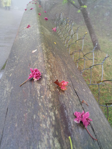 2013-03-02 11.52.06.jpg