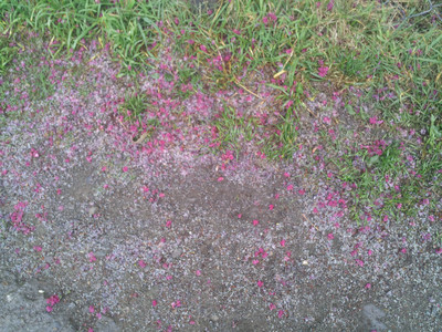 2013-03-02 11.52.21.jpg