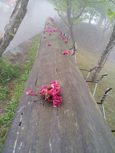 2013-03-02 11.52.32.jpg