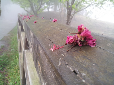 2013-03-02 11.52.40.jpg