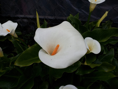 2013-03-02 11.53.48.jpg