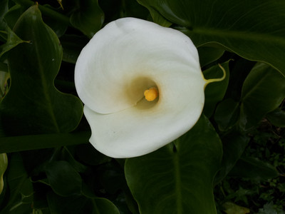 2013-03-02 11.53.52.jpg