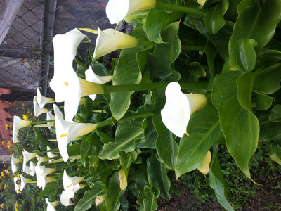 2013-03-02 11.53.59.jpg