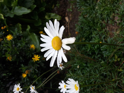 2013-03-02 11.54.20.jpg