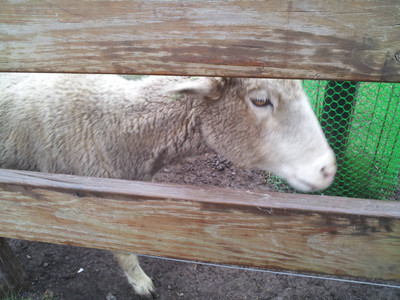 2013-03-02 12.45.07.jpg