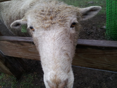 2013-03-02 12.45.11.jpg