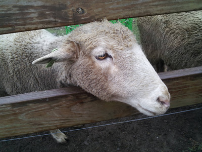 2013-03-02 12.45.16.jpg