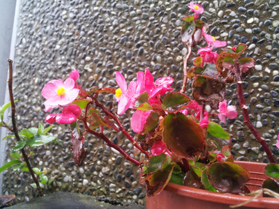 2013-03-02 12.50.30.jpg