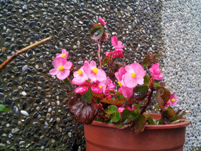 2013-03-02 12.50.42.jpg