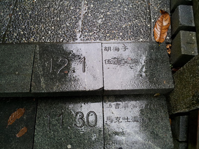 2013-03-03 10.59.14.jpg