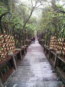 2013-03-03 11.00.39.jpg