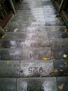 2013-03-03 11.00.43.jpg