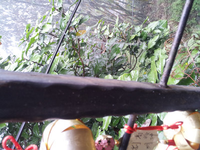 2013-03-03 11.05.45.jpg