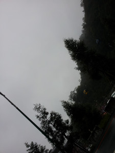 2013-03-03 11.23.03.jpg