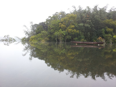 2013-03-03 13.43.29.jpg