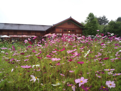 2013-03-03 16.01.53.jpg