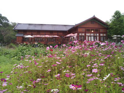 2013-03-03 16.02.05.jpg