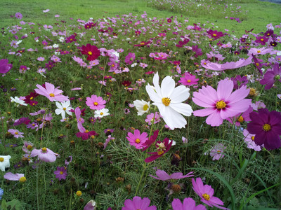 2013-03-03 16.02.35.jpg