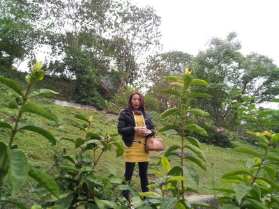 2013-03-03 16.04.52.jpg