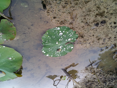 2013-03-03 16.07.30.jpg