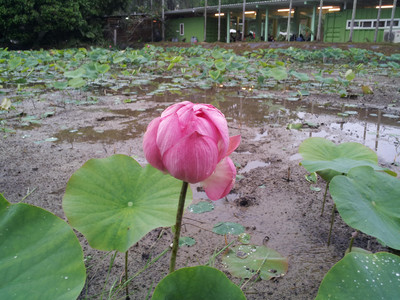 2013-03-03 16.08.11.jpg