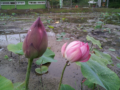 2013-03-03 16.08.22.jpg