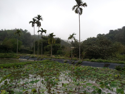 2013-03-03 16.09.00.jpg