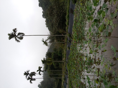 2013-03-03 16.09.05.jpg