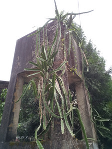 2013-03-03 16.18.56.jpg