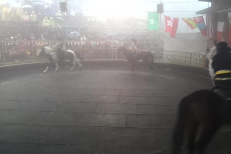 video-2013-03-02-10-57-45.mp4