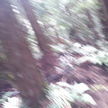 20140908_094842.jpg