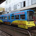 DSC04556.JPG