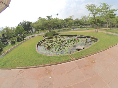 YDXJ0049.jpg