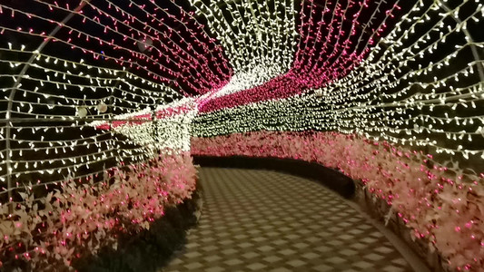 VID_20181229_191054.mp4