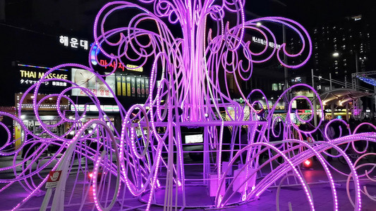 VID_20181230_183558.mp4