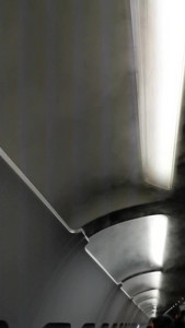 VID_20190810_034858.mp4