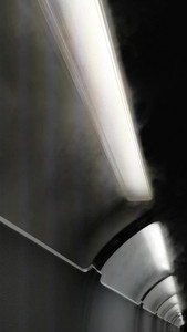 VID_20190810_034936.mp4