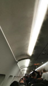 VID_20190810_035137.mp4