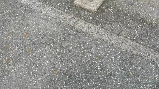 VID_20190928_094236.mp4