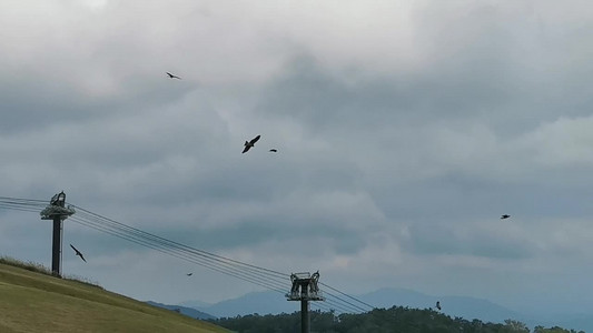 VID_20190928_133057.mp4