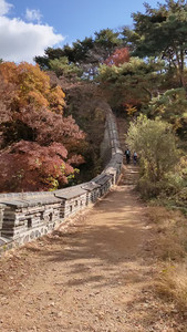 VID20191104115056.mp4