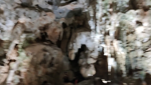 VID_20191129_145521.mp4