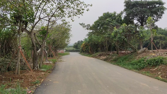 VID_20191130_120158.mp4