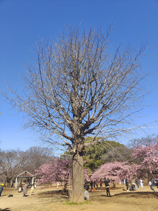 IMG20230225094046.jpg